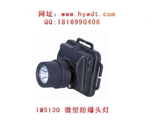 ���庣����IW5130/LT΢�ͷ���ͷ��(�������